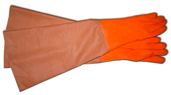 00-00021695_1 00-00021695_1